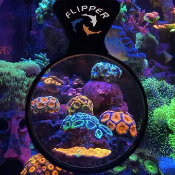 Flipper DeepSee Standard - Magnified Aquarium Viewer (4’’) - Tarvikkeet