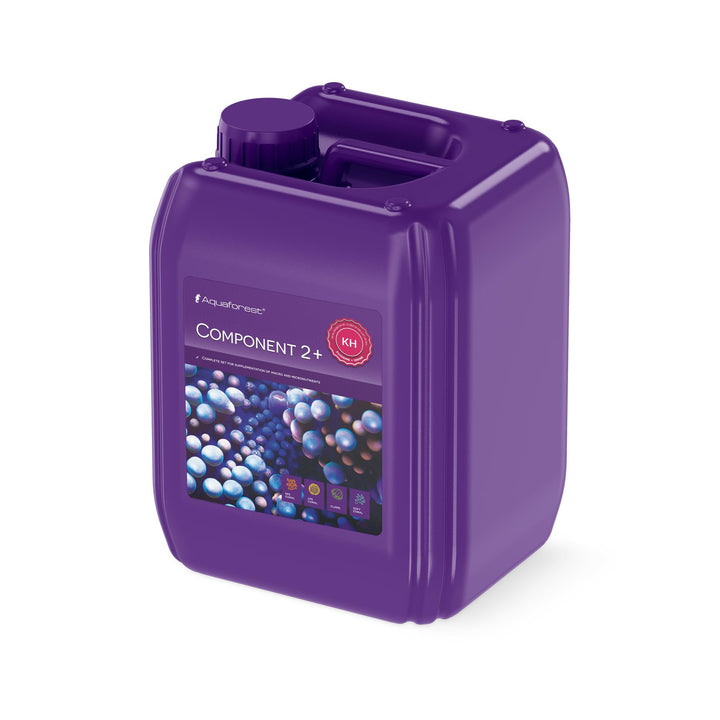 Component 2+ 5l