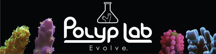 PolypLab Reef Roids - coral food 37g