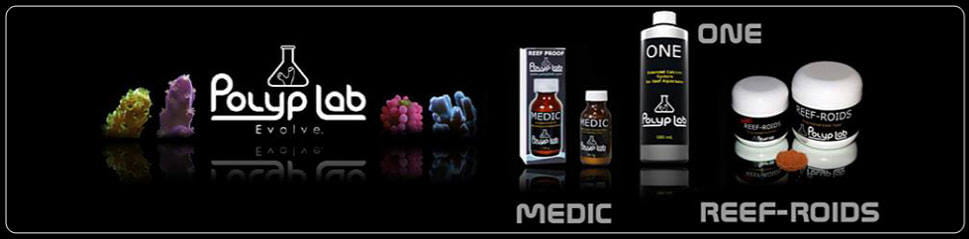 PolypLab Reef Roids - coral food 37g