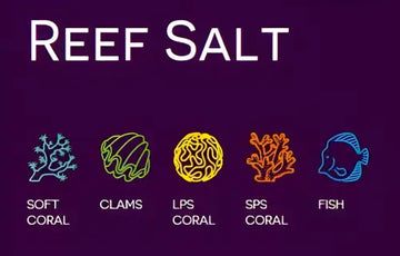 AF Reef Salt - marine salt for Soft/LPS/SPS 7,5kg - Akvaariovedenhoito