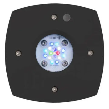AI Prime 16HD - Smart LED - white/black (~55W) - Musta - Akvaarion valaistus
