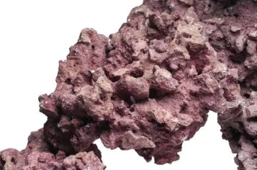 D-D Marco Reefsaver rock coralline 18kg - Akvaarion koristeet