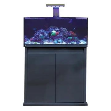 D-D Reef-Pro 900 - Ultra Gloss Anthracite - Akvaariot