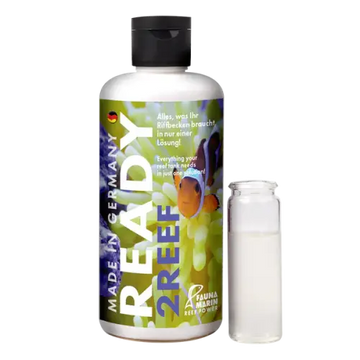 Fauna Marin Ready2Reef