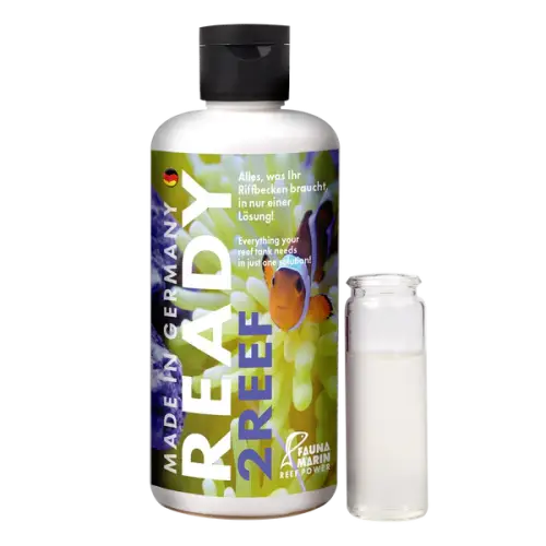Fauna Marin Ready2Reef