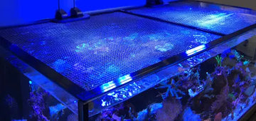 JumpGuard PRO tank Net cover (180 x 90cm) - Akvaariovedenhoito
