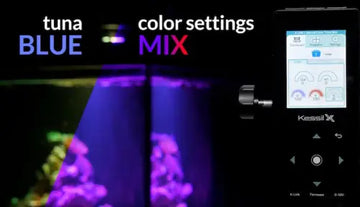 Kessil A360X Tuna Blue - Kasvivalaisin