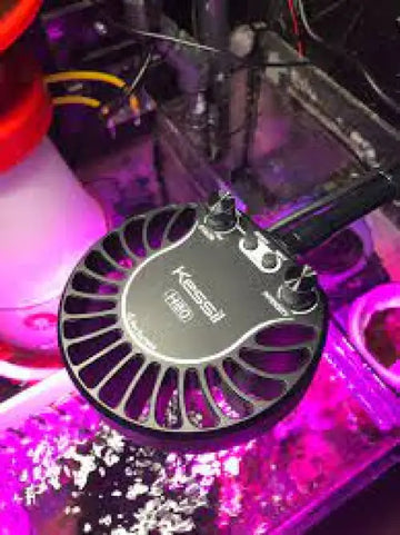 Kessil H80 Tuna Flora - Kasvivalaisin