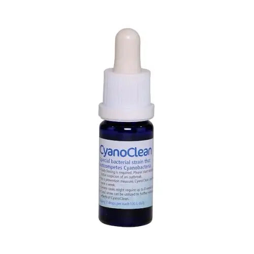 KZ Cyano Clean - against cyano (10ml) - Akvaariovedenhoito