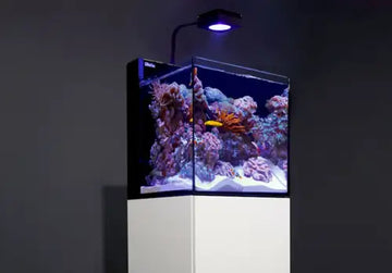 MAX NANO G2 XL - complete reef system 125L (white cabinet)