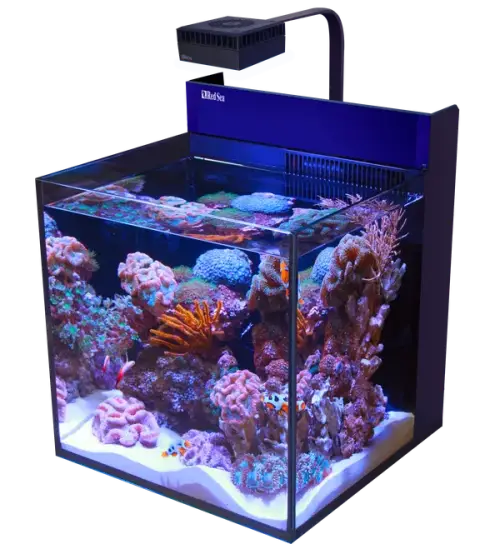MAX® NANO G2 CUBE - complete reef system 75L - Akvaariot