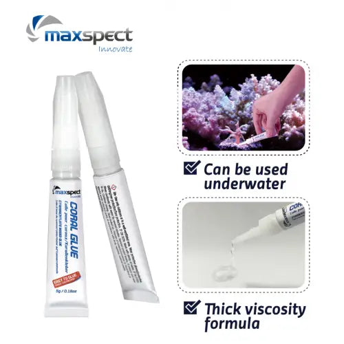 Maxspect Coral Glue stick 5g - Liimat