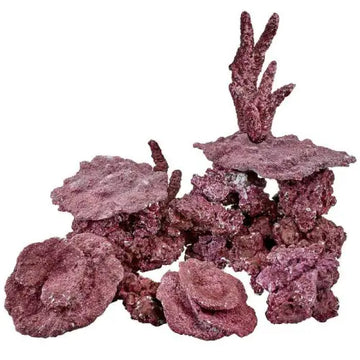 Real Reef Rock 4th gen 25-27kg