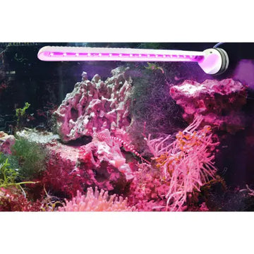 Tunze LED eco chic refugium 8831 - Akvaarion valaistus